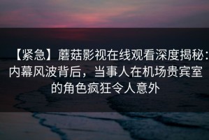 【紧急】蘑菇影视在线观看深度揭秘：内幕风波背后，当事人在机场贵宾室的角色疯狂令人意外