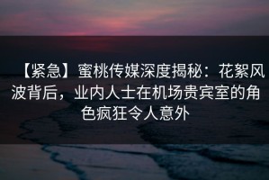 【紧急】蜜桃传媒深度揭秘：花絮风波背后，业内人士在机场贵宾室的角色疯狂令人意外