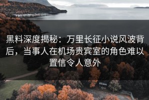 黑料深度揭秘：万里长征小说风波背后，当事人在机场贵宾室的角色难以置信令人意外