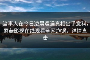 当事人在今日凌晨遭遇真相出乎意料，蘑菇影视在线观看全网炸锅，详情直击