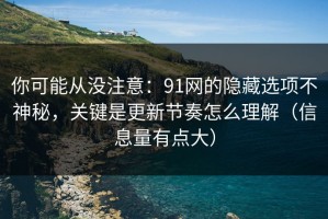 你可能从没注意：91网的隐藏选项不神秘，关键是更新节奏怎么理解（信息量有点大）