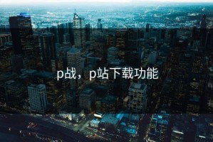 p战，p站下载功能