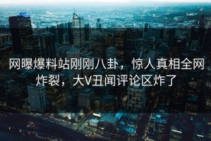 网曝爆料站刚刚八卦，惊人真相全网炸裂，大V丑闻评论区炸了