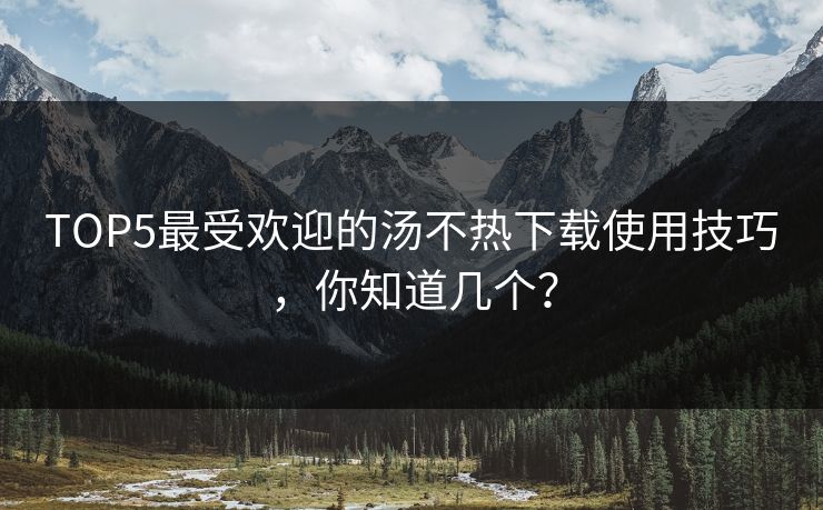TOP5最受欢迎的汤不热下载使用技巧，你知道几个？
