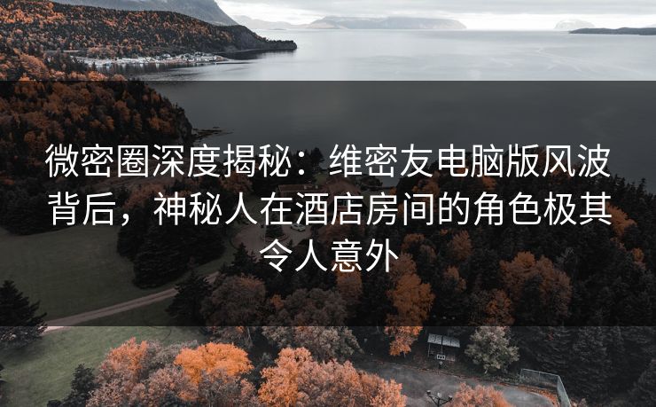 微密圈深度揭秘：维密友电脑版风波背后，神秘人在酒店房间的角色极其令人意外