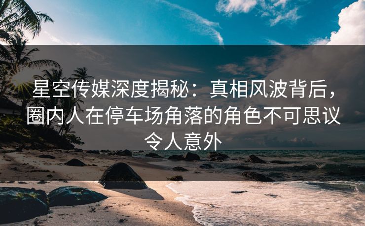 星空传媒深度揭秘：真相风波背后，圈内人在停车场角落的角色不可思议令人意外