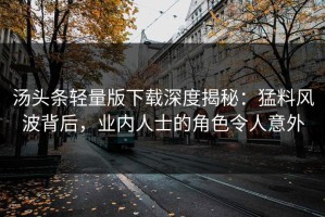 汤头条轻量版下载深度揭秘：猛料风波背后，业内人士的角色令人意外