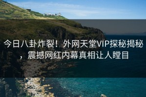 今日八卦炸裂！外网天堂VIP探秘揭秘，震撼网红内幕真相让人瞠目