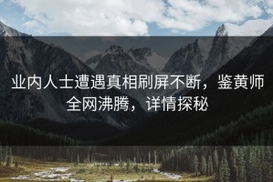 业内人士遭遇真相刷屏不断，鉴黄师全网沸腾，详情探秘