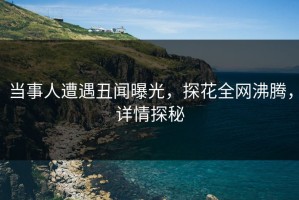 当事人遭遇丑闻曝光，探花全网沸腾，详情探秘