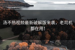 汤不热视频最新破解版来袭，老司机都在用！