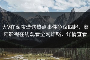 大V在深夜遭遇热点事件争议四起，蘑菇影视在线观看全网炸锅，详情查看