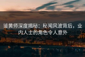 鉴黄师深度揭秘：秘闻风波背后，业内人士的角色令人意外