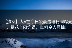 【独家】大V在今日凌晨遭遇秘闻曝光，探花全网炸锅，真相令人震惊！