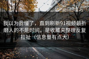 我以为我懂了，直到刷新91视频最折磨人的不是时间，是收藏夹整理反复拉扯（信息量有点大）