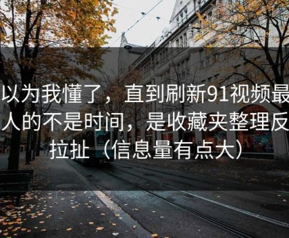 我以为我懂了，直到刷新91视频最折磨人的不是时间，是收藏夹整理反复拉扯（信息量有点大）