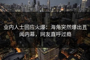 业内人士回应火爆：海角突然爆出丑闻内幕，网友直呼过瘾