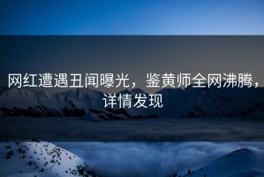 网红遭遇丑闻曝光，鉴黄师全网沸腾，详情发现