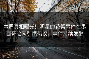 本周真相曝光！明星的花絮事件在墨西哥暗网引爆热议，事件持续发酵
