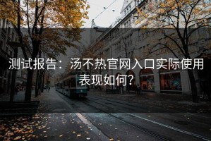 测试报告：汤不热官网入口实际使用表现如何？