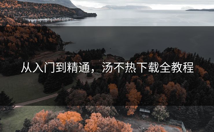 从入门到精通，汤不热下载全教程