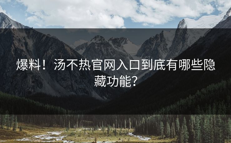 爆料！汤不热官网入口到底有哪些隐藏功能？