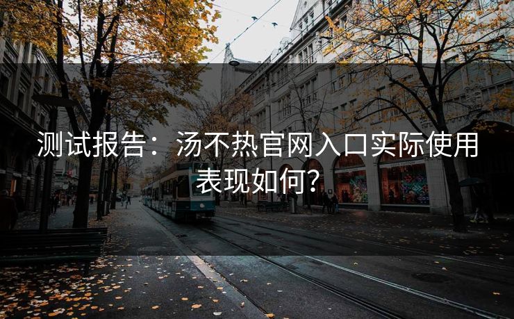 测试报告：汤不热官网入口实际使用表现如何？