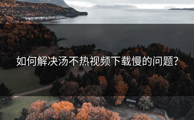 如何解决汤不热视频下载慢的问题？