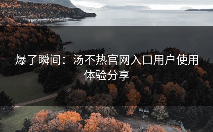 爆了瞬间：汤不热官网入口用户使用体验分享