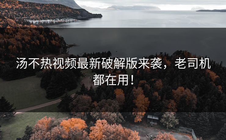 汤不热视频最新破解版来袭，老司机都在用！