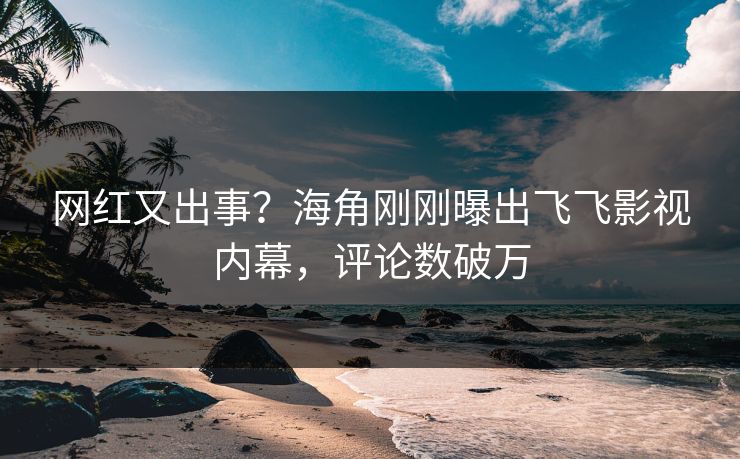 网红又出事？海角刚刚曝出飞飞影视内幕，评论数破万
