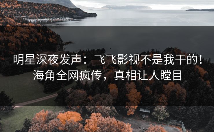 明星深夜发声：飞飞影视不是我干的！海角全网疯传，真相让人瞠目