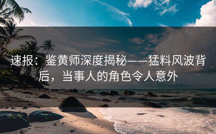 速报：鉴黄师深度揭秘——猛料风波背后，当事人的角色令人意外