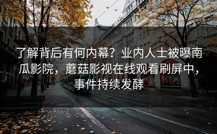 了解背后有何内幕？业内人士被曝南瓜影院，蘑菇影视在线观看刷屏中，事件持续发酵