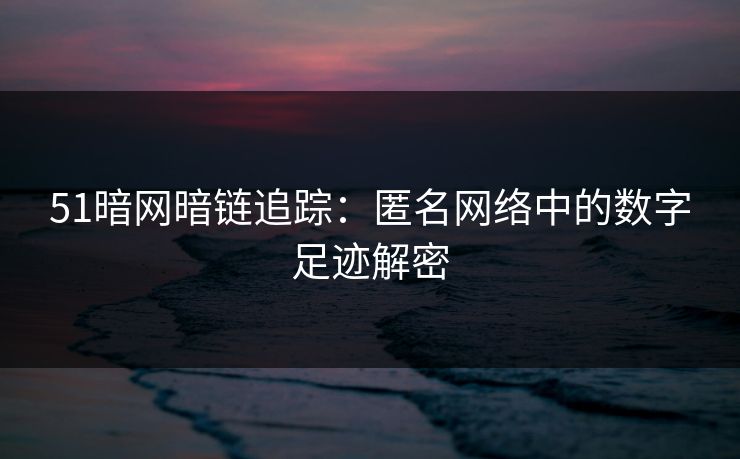 51暗网暗链追踪：匿名网络中的数字足迹解密